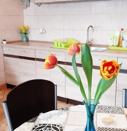 Flora *