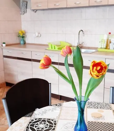 Flora *